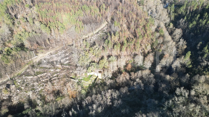 Terreno com ruina  Penalva do Castelo, Ínsua - 1455197 - 6