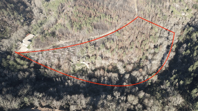 Terreno / Penalva do Castelo, Ínsua