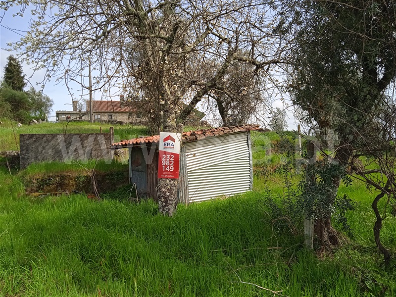 Terreno  Penalva do Castelo, Penalva do Castelo - 1317183 - 1