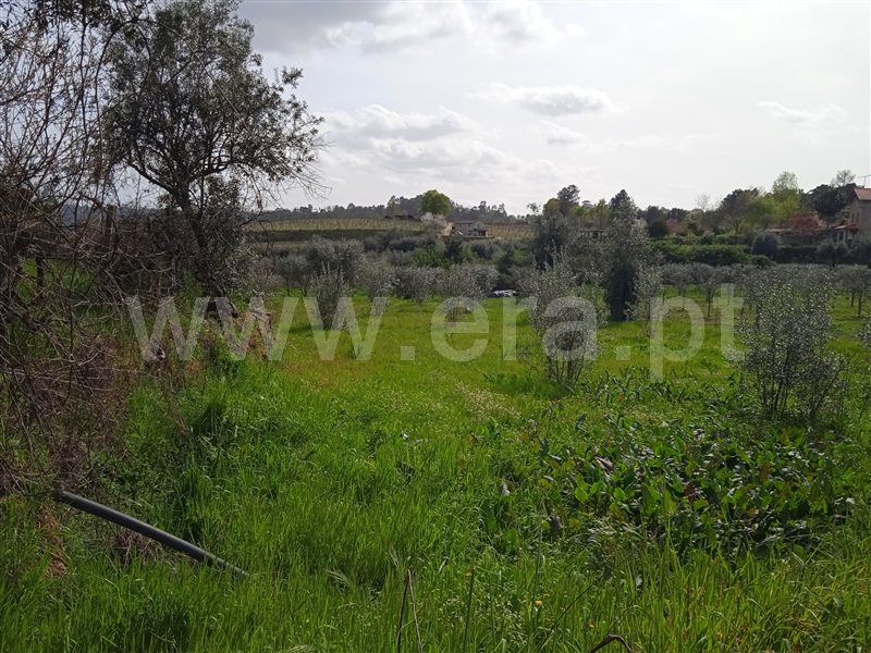 Terreno  Penalva do Castelo, Penalva do Castelo - 1317183 - 2