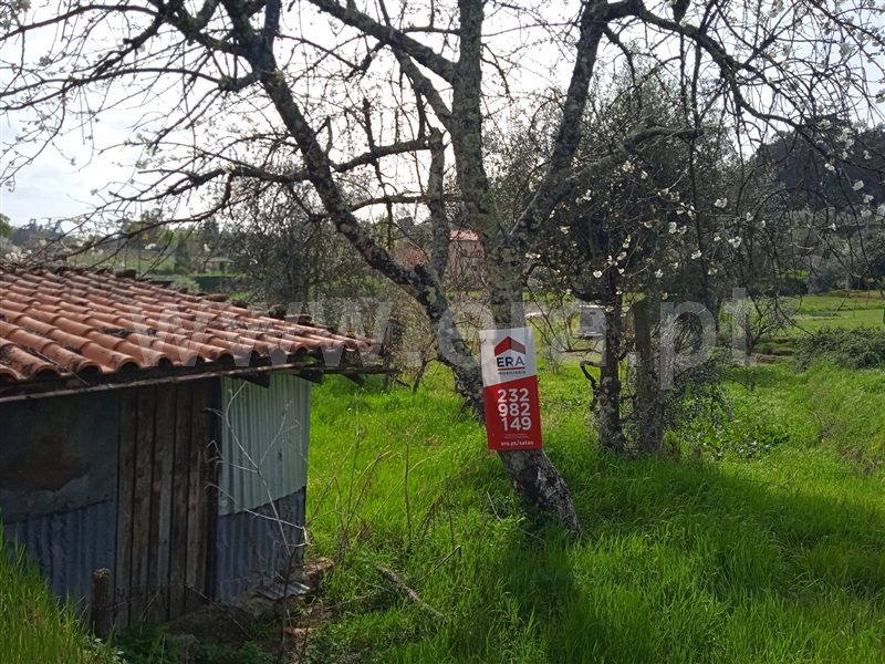Terreno  Penalva do Castelo, Penalva do Castelo - 1317183 - 5