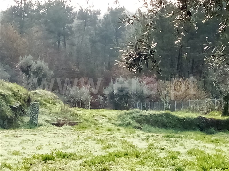 Terreno  Penalva do Castelo, Sezures - 1295039 - 3