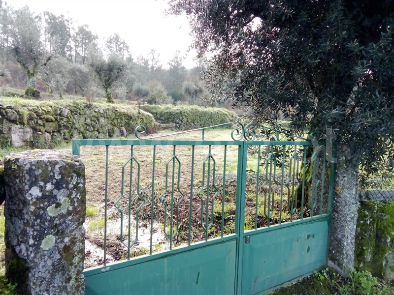 Terreno  Penalva do Castelo, Sezures - 1295039 - 4
