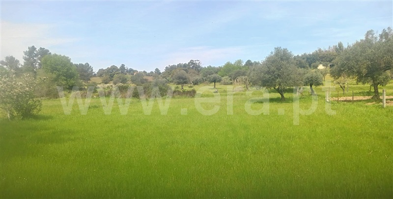 Terreno  com Rústico Penamacor, Aldeia de Santa Margarida - 1476064 - 8