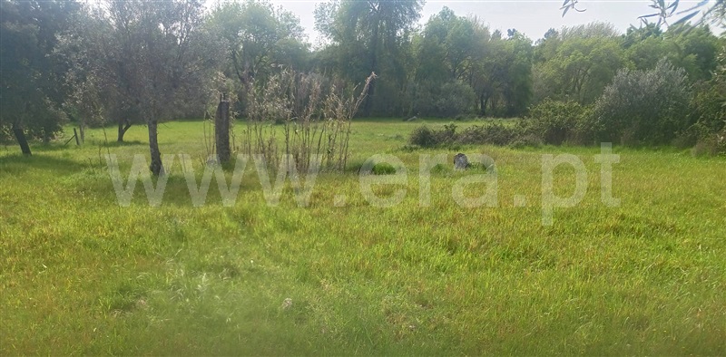 Terreno  com Rústico Penamacor, Aldeia de Santa Margarida - 1476064 - 12