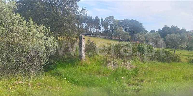 Terreno  com Rústico Penamacor, Aldeia de Santa Margarida - 1476064 - 15