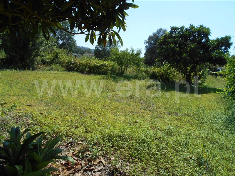 Terreno  Penamacor, Águas - 1423811 - 3