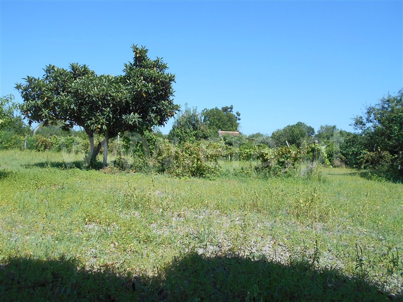Terreno  Penamacor, Águas - 1423811 - 4