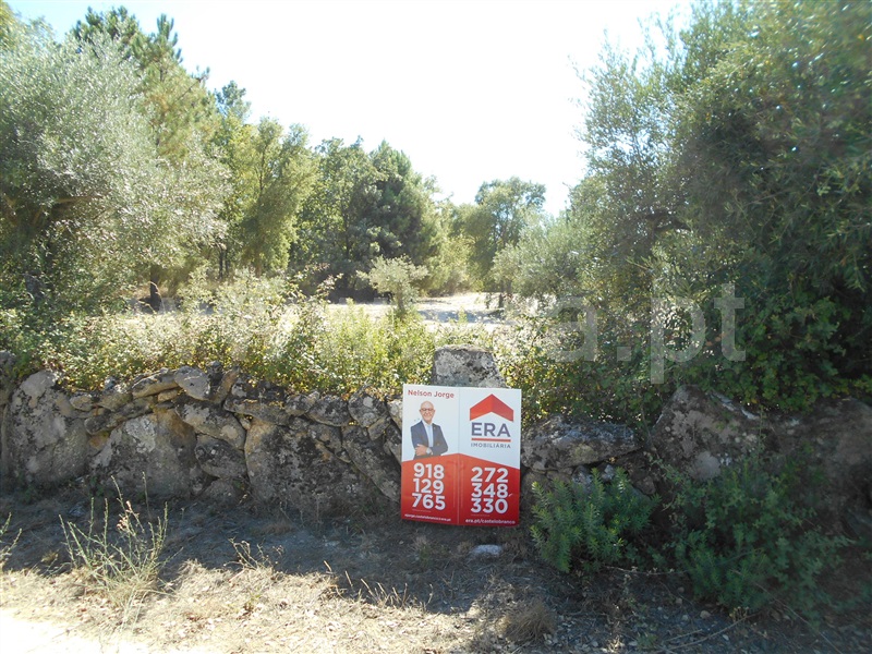 Terreno / Penamacor, Aldeia do Bispo, Águas e Aldeia de João Pires