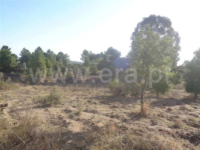 Terreno  Penamacor, Aldeia do Bispo - 957283 - 10