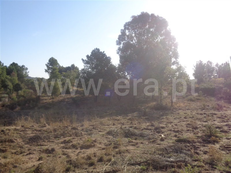Terreno  Penamacor, Aldeia do Bispo - 957283 - 9