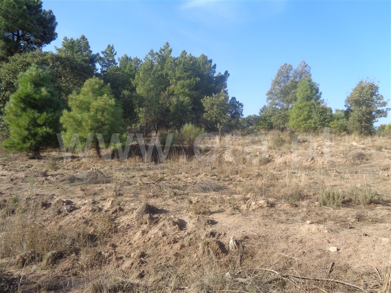 Terreno  Penamacor, Aldeia do Bispo - 957283 - 2
