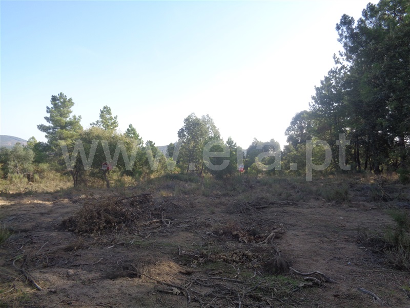 Terreno  Penamacor, Aldeia do Bispo - 957283 - 11