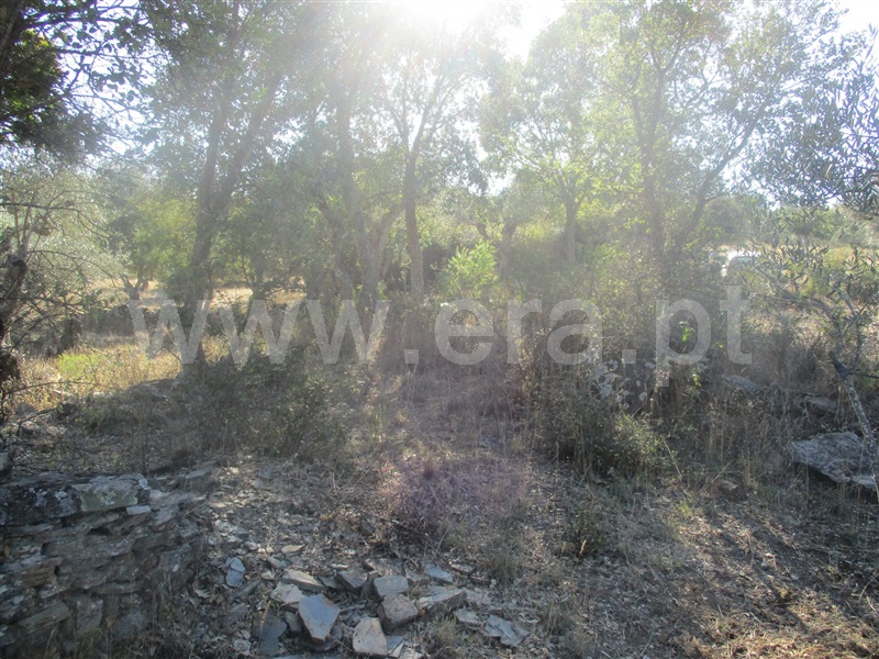 Terreno  Penamacor, Aranhas - 1046174 - 9