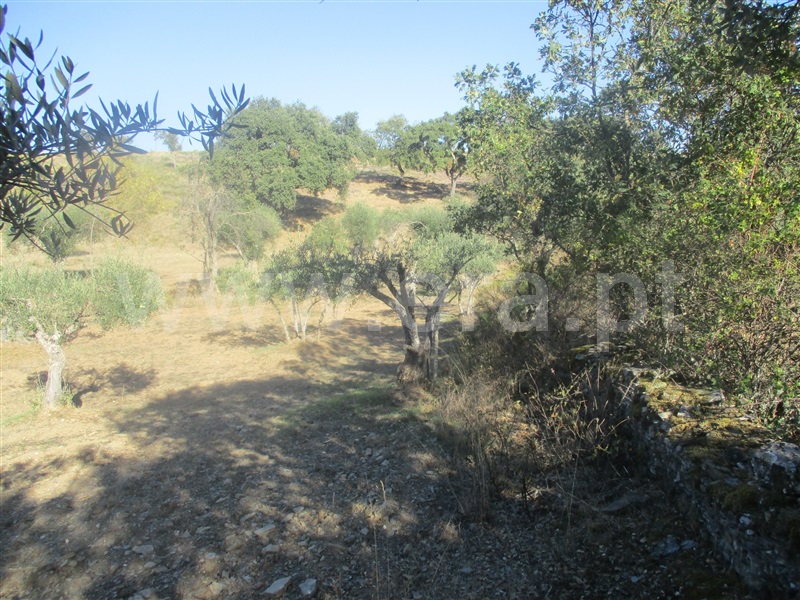 Terreno  Penamacor, Aranhas - 1046174 - 5