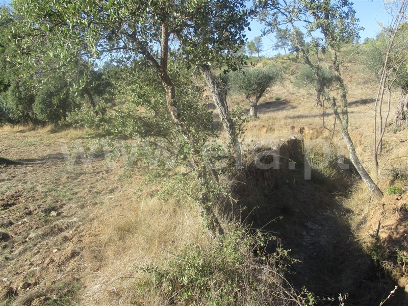 Terreno  Penamacor, Aranhas - 1046174 - 6
