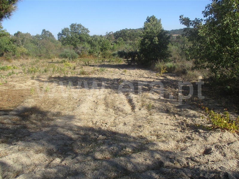 Terreno  Penamacor, Aranhas - 1046178 - 3