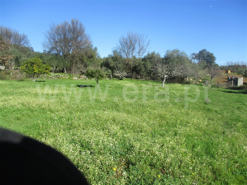 Terreno  Penamacor, Aranhas - 1071839 - 6