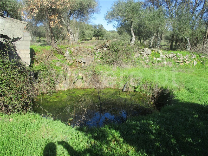 Terreno  Penamacor, Aranhas - 1071839 - 2