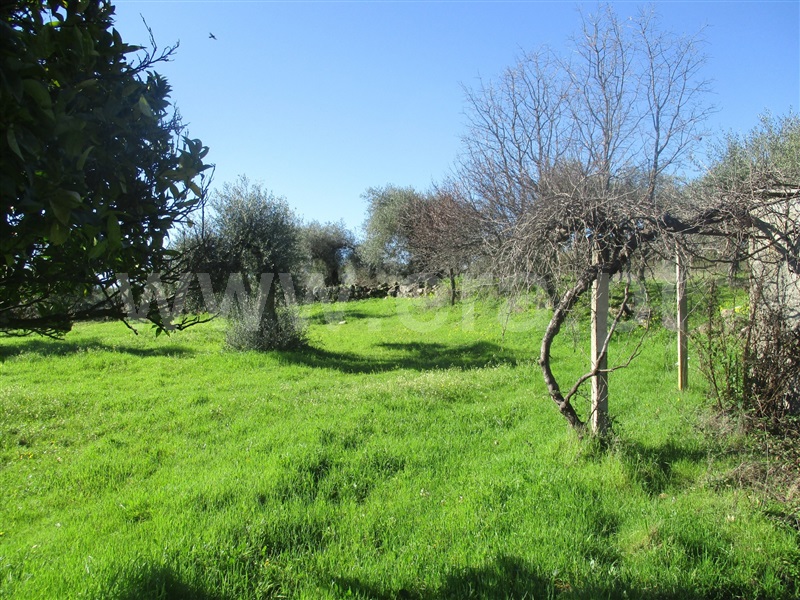 Terreno  Penamacor, Aranhas - 1071839 - 8