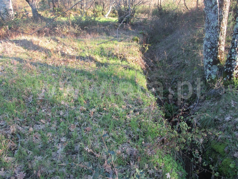 Terreno  Penamacor, Aranhas - 1071854 - 11