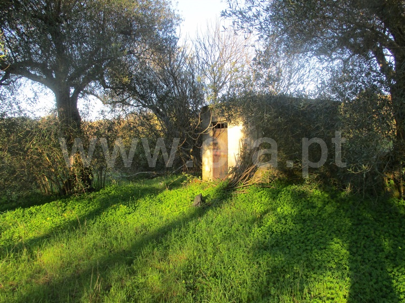 Terreno  Penamacor, Aranhas - 1071854 - 7