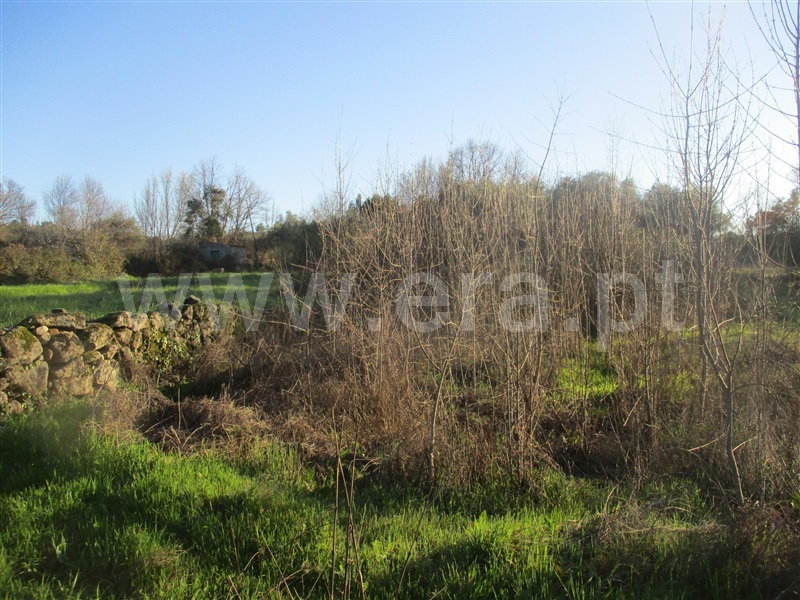 Terreno  Penamacor, Aranhas - 1071854 - 9