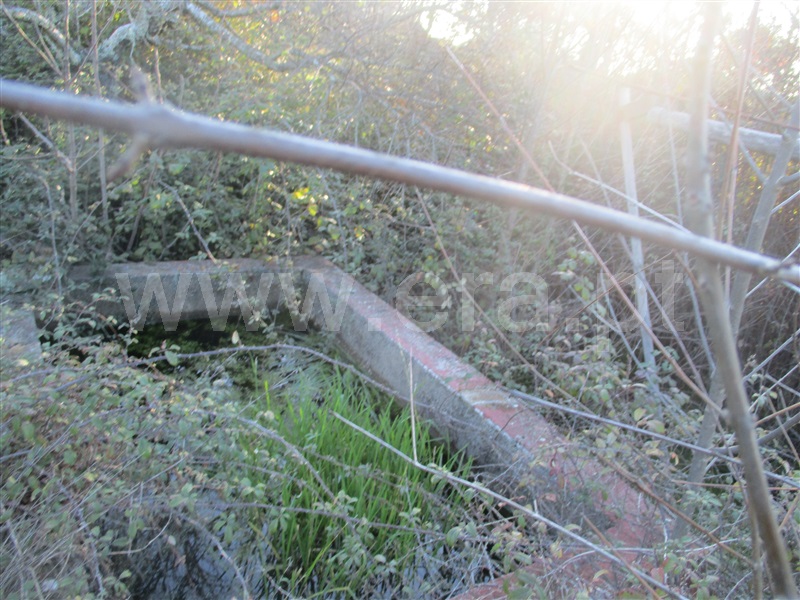 Terreno  Penamacor, Aranhas - 1071854 - 16