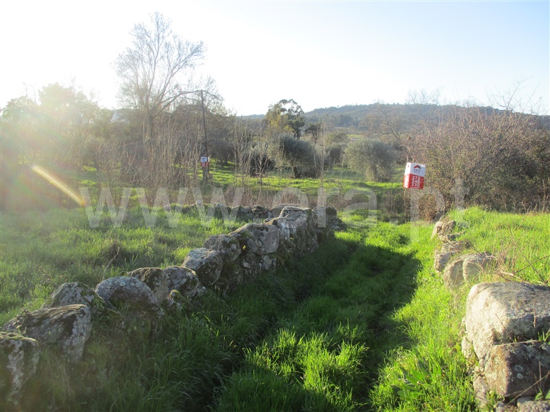 Terreno  Penamacor, Aranhas - 1071854 - 8