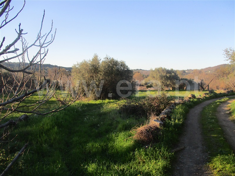 Terreno  Penamacor, Aranhas - 1071854 - 14