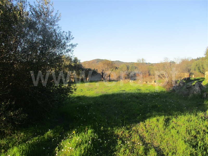Terreno  Penamacor, Aranhas - 1071854 - 4
