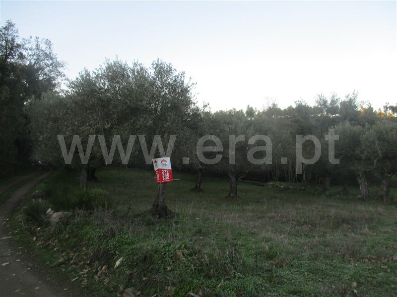 Terreno  Penamacor, Aranhas - 1071858 - 2