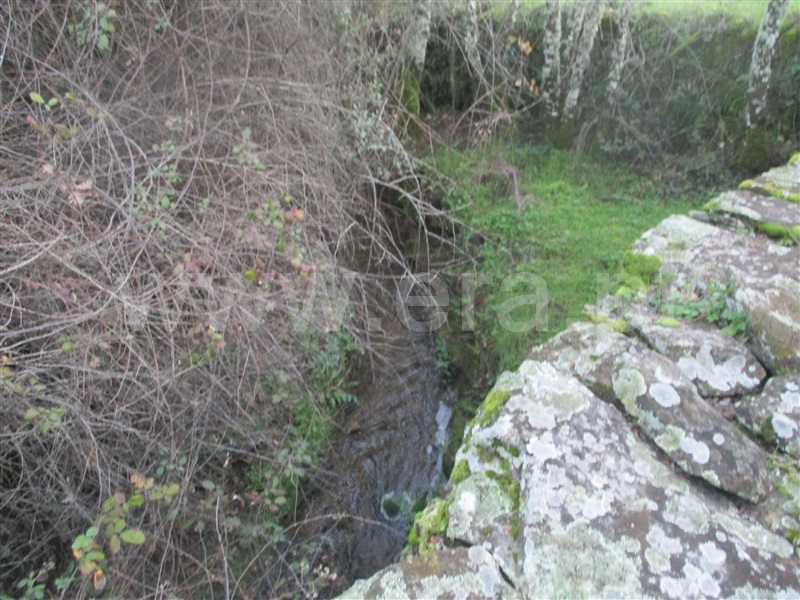 Terreno  Penamacor, Aranhas - 1071858 - 5