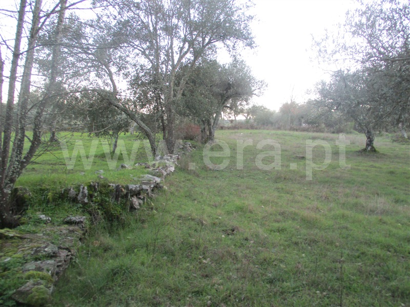 Terreno  Penamacor, Aranhas - 1071858 - 6