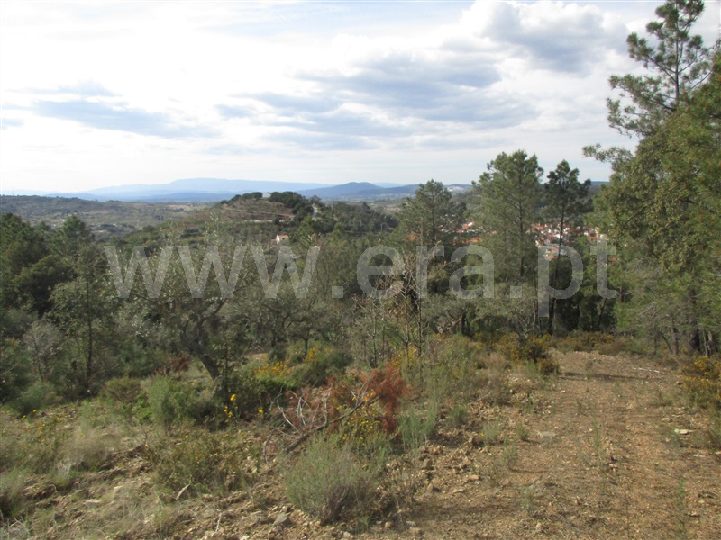 Terreno  Penamacor, Aranhas - 1240310 - 9