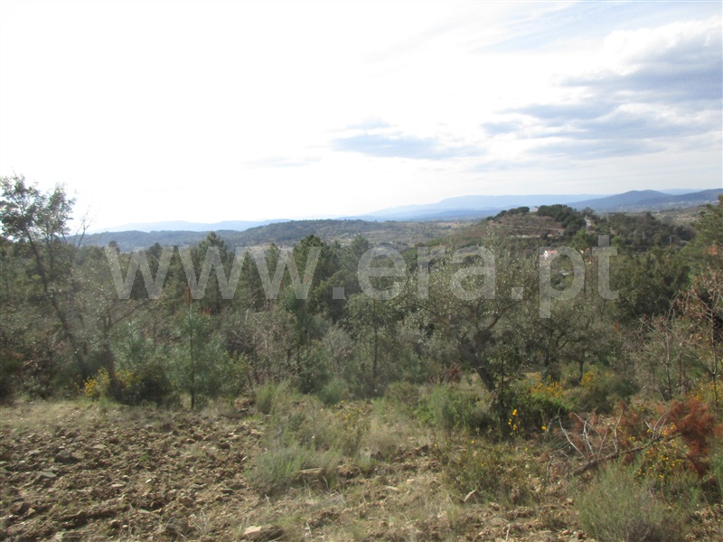 Terreno  Penamacor, Aranhas - 1240310 - 10