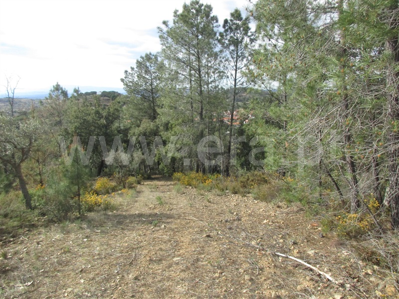 Terreno  Penamacor, Aranhas - 1240310 - 11