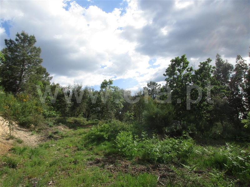Terreno  Penamacor, Aranhas - 1247072 - 2