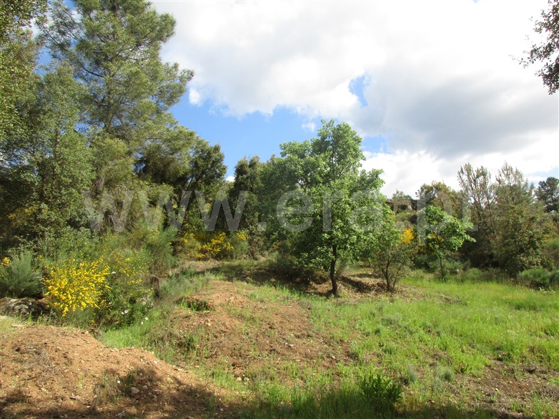 Terreno  Penamacor, Aranhas - 1247072 - 4