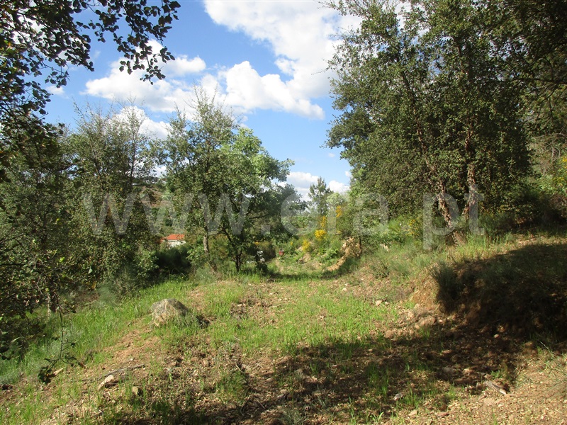 Terreno  Penamacor, Aranhas - 1247072 - 7