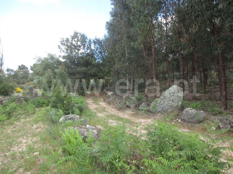 Terreno  Penamacor, Aranhas - 1247072 - 10