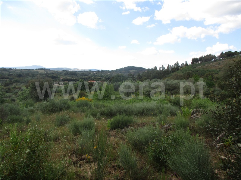 Terreno  Penamacor, Aranhas - 1247072 - 11