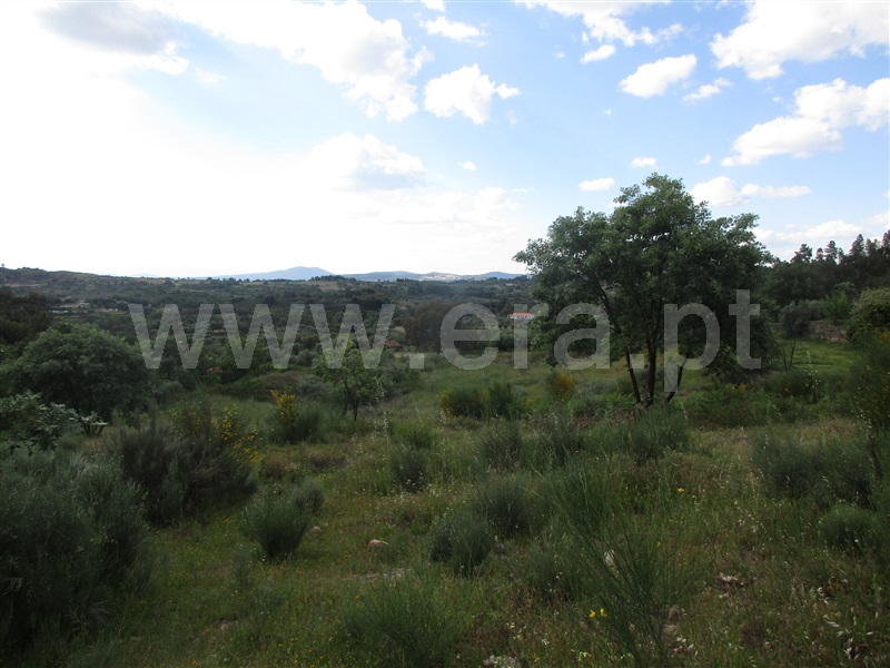 Terreno  Penamacor, Aranhas - 1247072 - 12