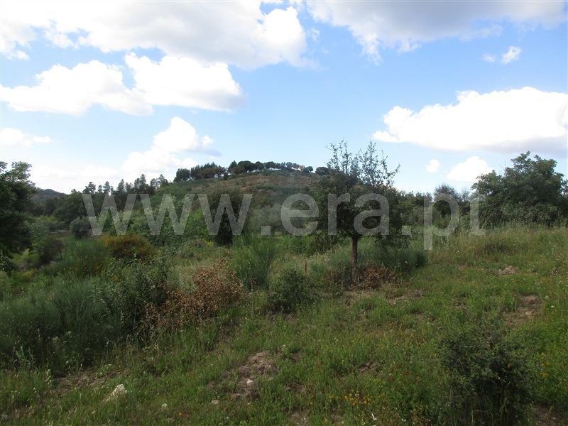 Terreno  Penamacor, Aranhas - 1247072 - 15