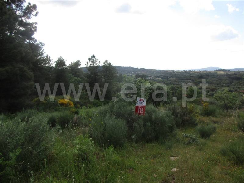 Terreno  Penamacor, Aranhas - 1247072 - 16