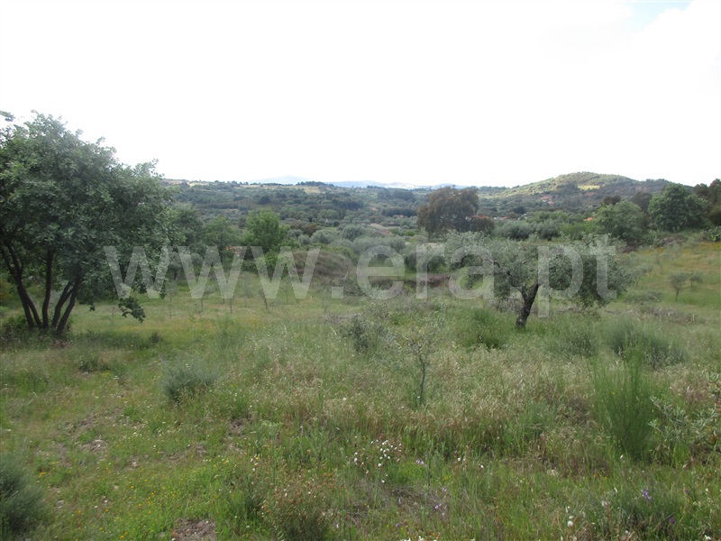 Terreno  Penamacor, Aranhas - 1247072 - 17