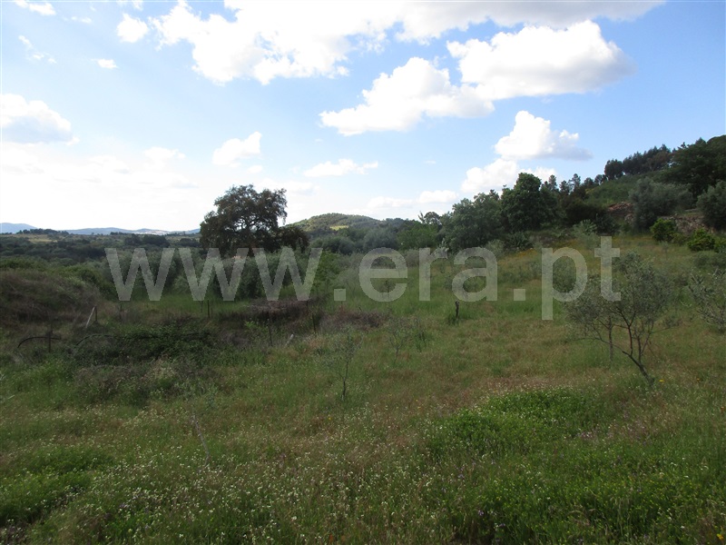 Terreno  Penamacor, Aranhas - 1247072 - 18
