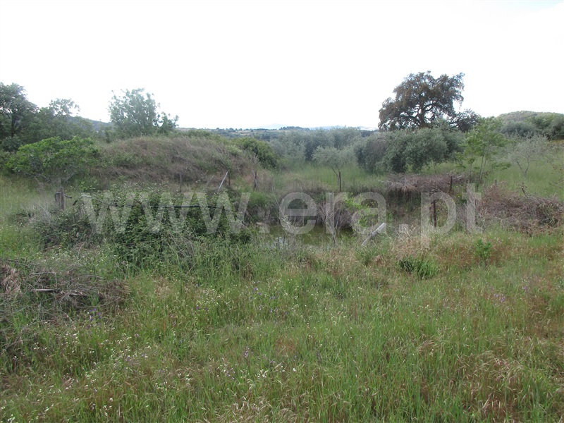 Terreno  Penamacor, Aranhas - 1247072 - 19