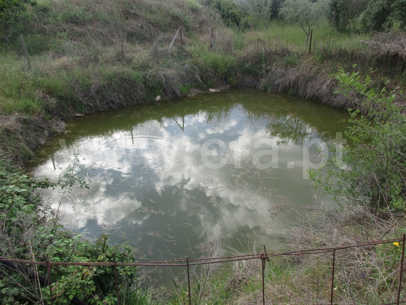 Terreno  Penamacor, Aranhas - 1247072 - 20