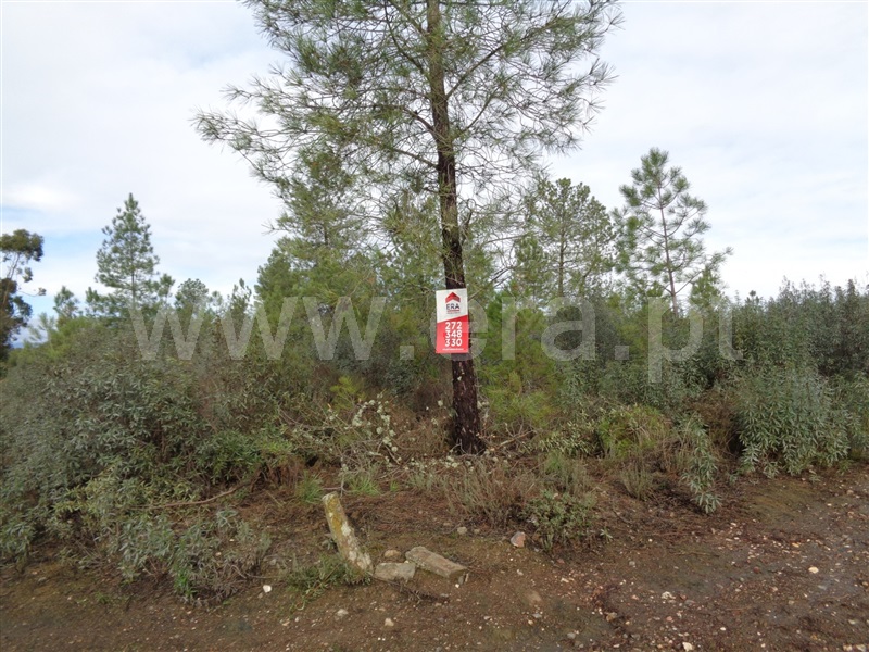 Terreno  Penamacor, Pedrogão de São Pedro - 1136619 - 2